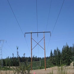 Alvey-Fairview No 1 Transmission Lines - wood poles