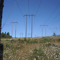 Bandon-Rogue No 1 - transmission lines and wood poles