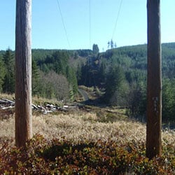 Chehalis-Raymond No 1 - wood poles