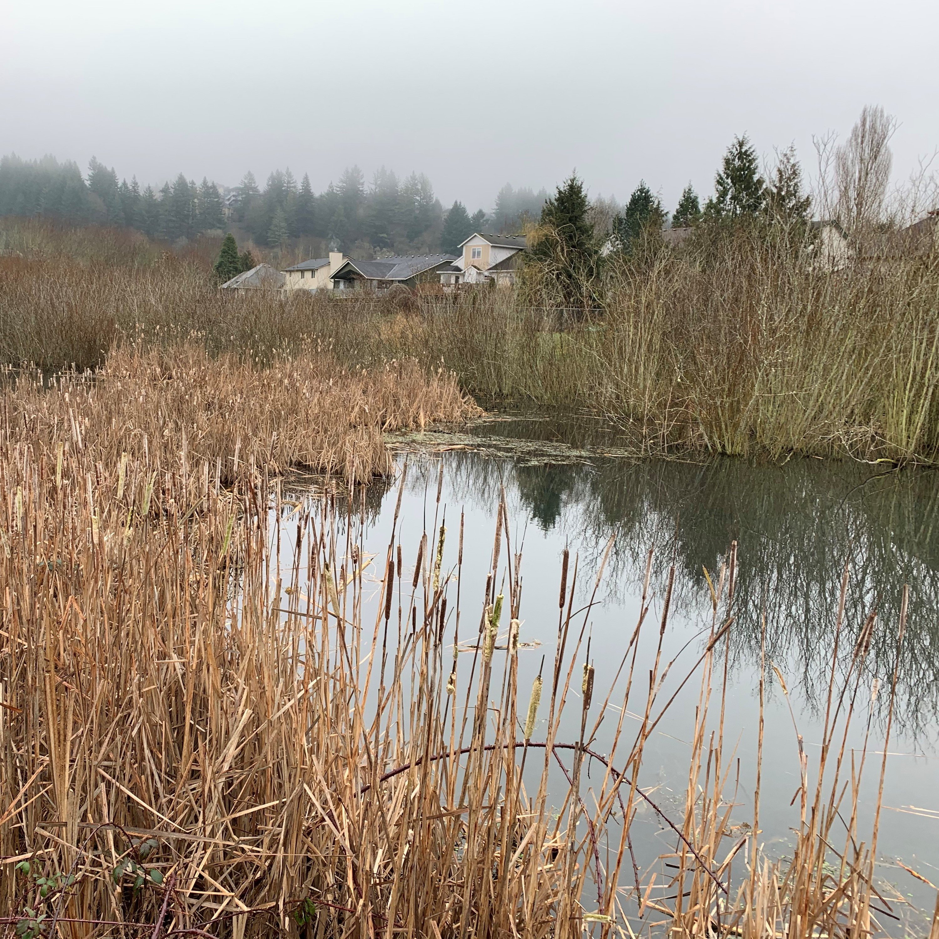 MacKay Sposito Environmental Services - Parker Estates