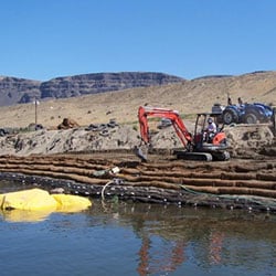 Wanapum Shoreline Stabilization - plantings in process