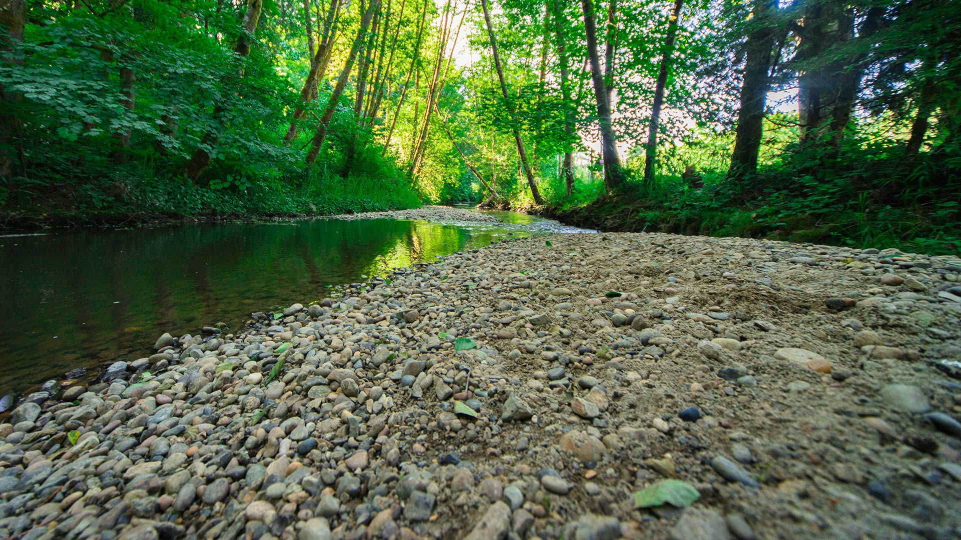 Abrams Community Park