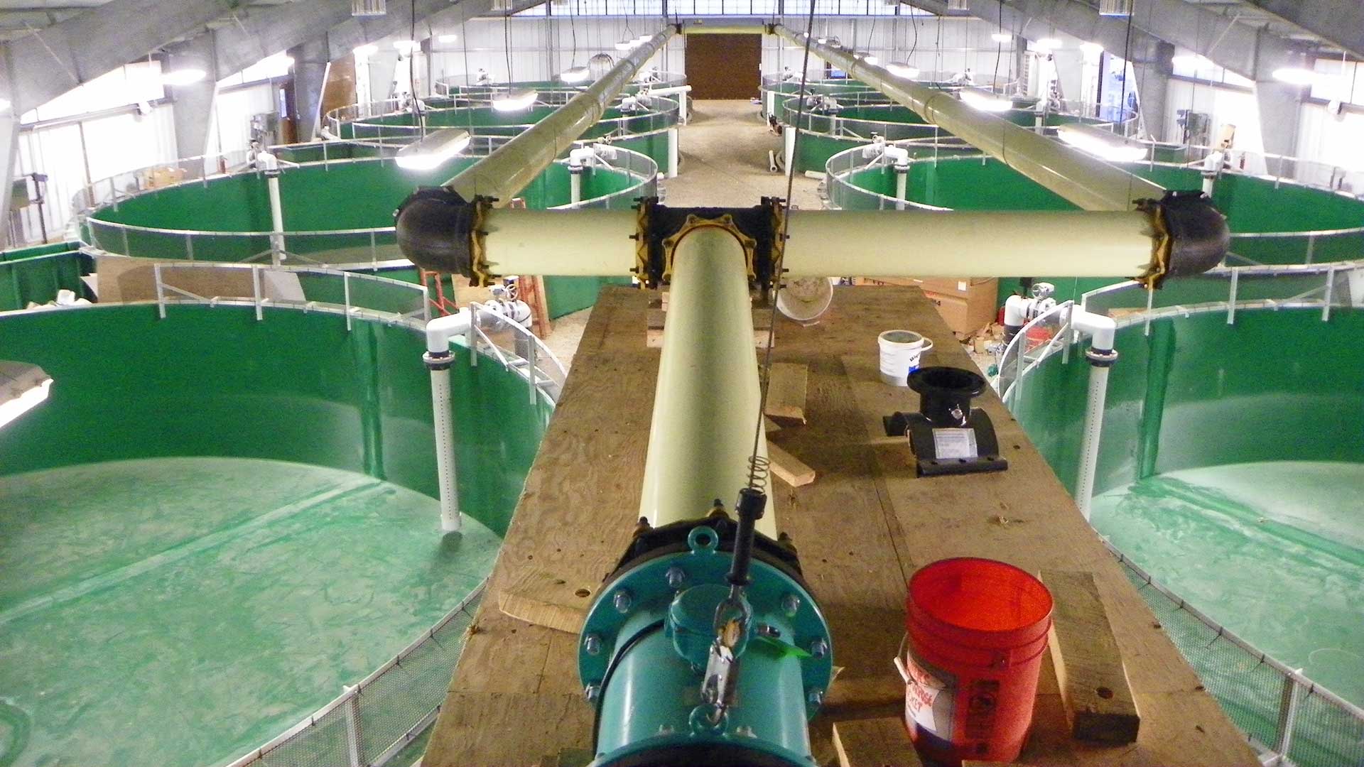 Carlton Acclimation Facility - rearing tanks